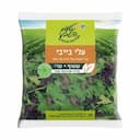 עלי בייבי