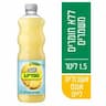 ספרינג אשכוליות אננס לייט