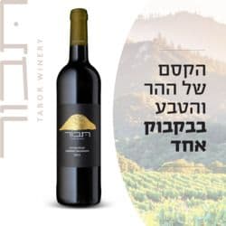 יין תבור הר קברנה סוביניון