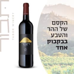 יין תבור הר מרלו