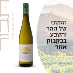 יין הר תבור גוורצטרמינר