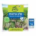 לקט סלט ערוגות