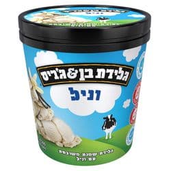 גלידת וניל - פיינט