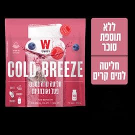 חליטה קרה פטל אוכמניות
