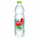 נביעות+ נענע מנטה