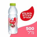 נביעות + נענע-ליצי 500 מ"ל