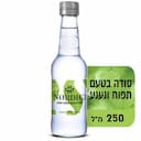 מים מוגזים בטעם תפוח נענע עדין
