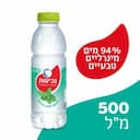 מים בטעם נענע מנטה