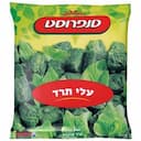 תרד עלים 800 גרם סנפרוסט
