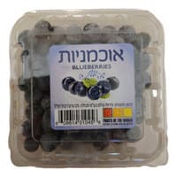 אוכמניות טריות פירות עולם 125 גרם