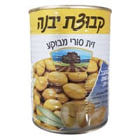 זית סורי מבוקע יבנה 540 גרם