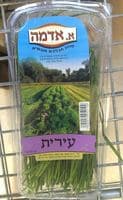 עירית א.אדמה יחידה