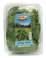 תרד עלים ארוז