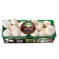 צמד פטריות שמפיניון מרינה יחידה