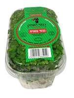נבטי צנונית נבטי העמק יחידה