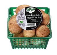 פטריות פורטבלה בייבי צעירות מרינה יחידה