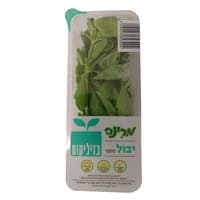 בזיליקום בקופסה מרינה יחידה