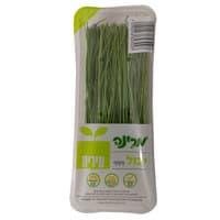 עירית מרינה יחידה