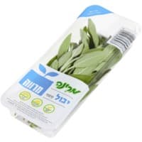 מרווה בקופסה מרינה יחידה