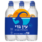 מים מינרליים טבעיים עין גדי 6 * 750 מ"ל