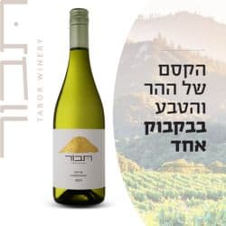 יין תבור הר שרדונה