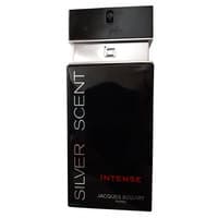 סילבר סנט אינטנס אינסטנט ג, 100 מ"ל