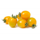 שרי צהוב ארוז